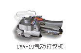 CMV-19